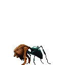 ミルメコレオ in 真・女神転生デビルサマナー