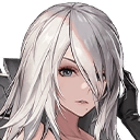 A2